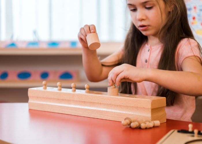 Montessori Eğitici Eğitimi
